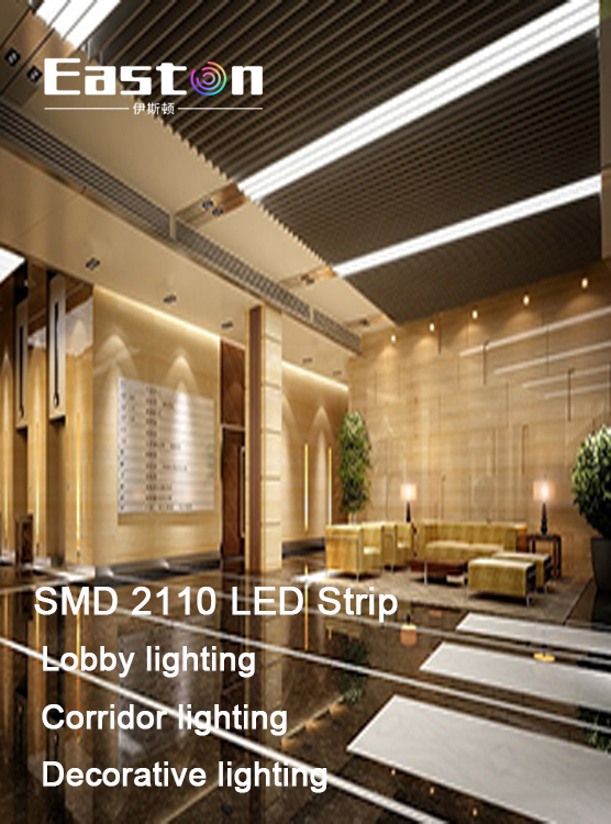 SMD2110 LED Strip  