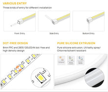 Load image into Gallery viewer, 1010 Top Emitting LED Neon Strip
