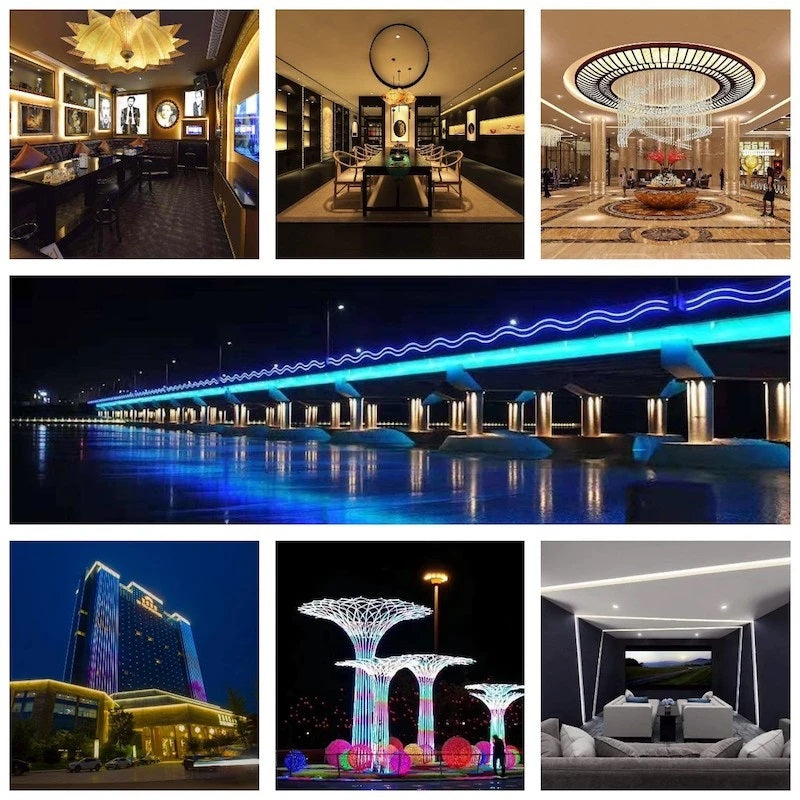 1010 Top Emitting LED Neon Strip