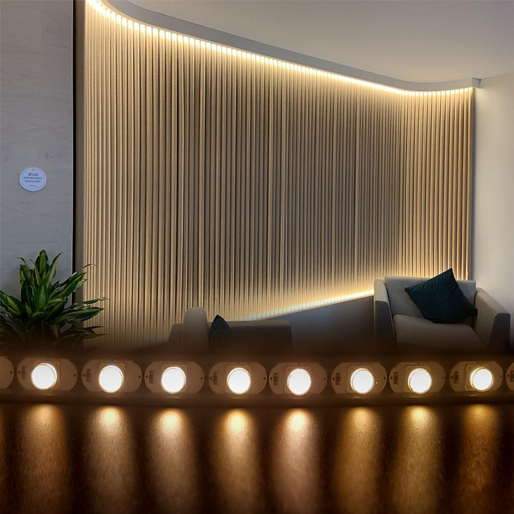1616 LED Flexible Wall Washer