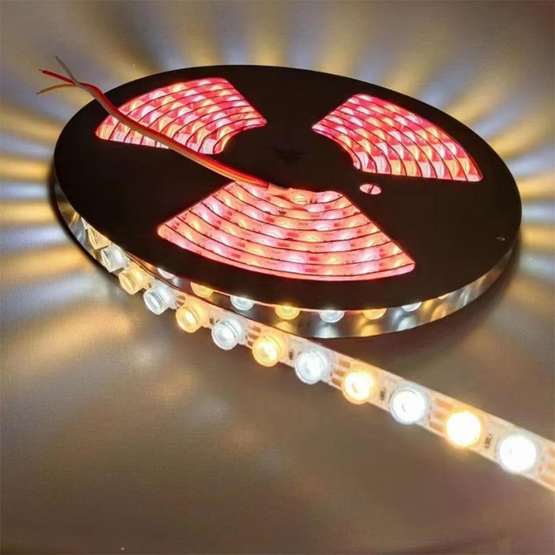 2010 LED Flexible Wall Washer