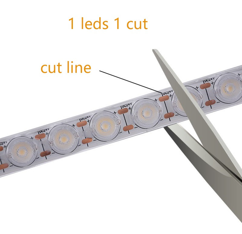 2010 LED Flexible Wall Washer