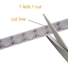 Load image into Gallery viewer, 2010 LED Flexible Wall Washer