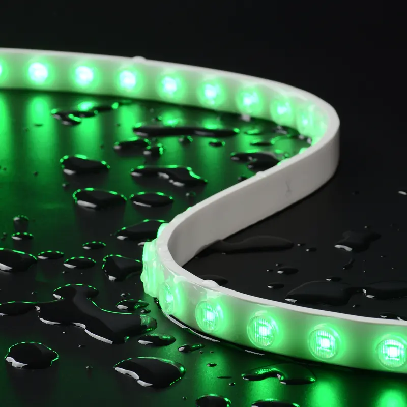 2010 LED Flexible Wall Washer