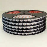 2010 LED Flexible Wall Washer