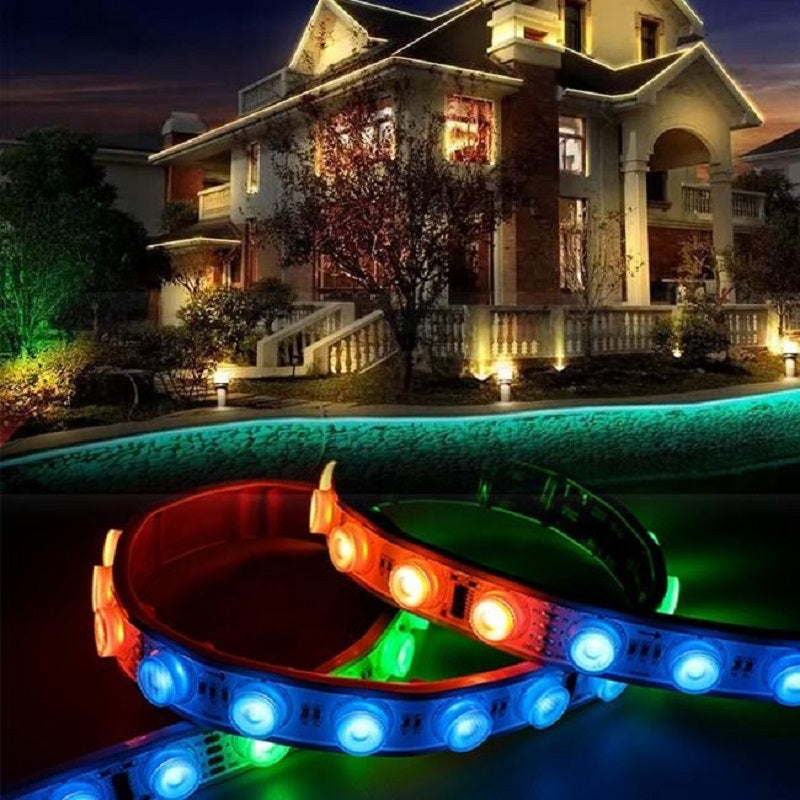 2010 LED Flexible Wall Washer