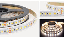 Load image into Gallery viewer, SMD3528 dual color LED strip