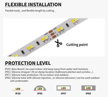 Load image into Gallery viewer, SMD3528 dual color LED strip