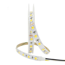 Load image into Gallery viewer, SMD3838 dual color LED strip