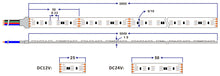 Load image into Gallery viewer, SMD3838 RGB LED Strip