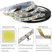 Load image into Gallery viewer, SMD5050 single color LED Strip