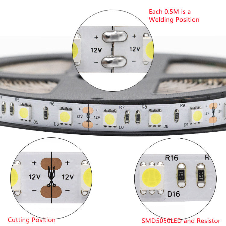 SMD5050 single color LED Strip